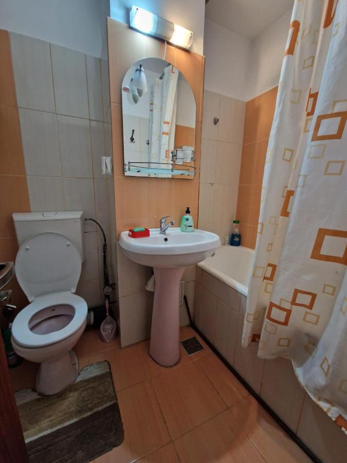 Apartmán Apartament Victoria Târgu Jiu Exteriér fotografie