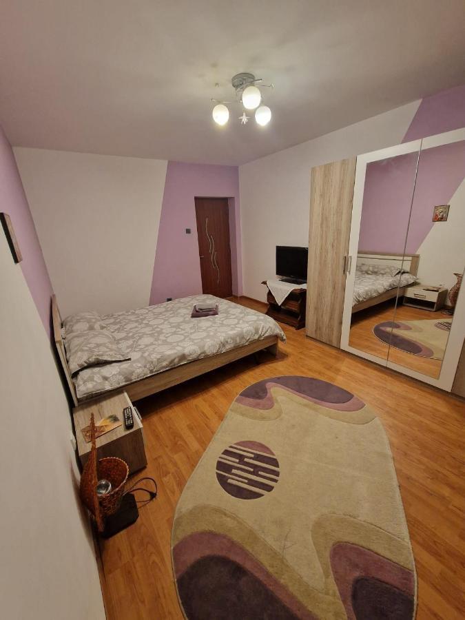 Apartmán Apartament Victoria Târgu Jiu Exteriér fotografie