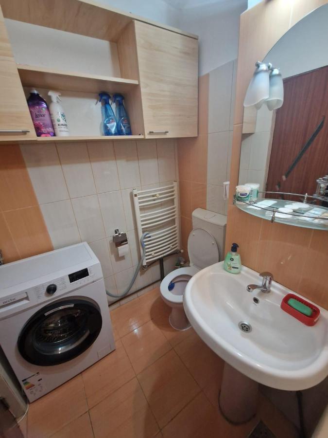 Apartmán Apartament Victoria Târgu Jiu Exteriér fotografie