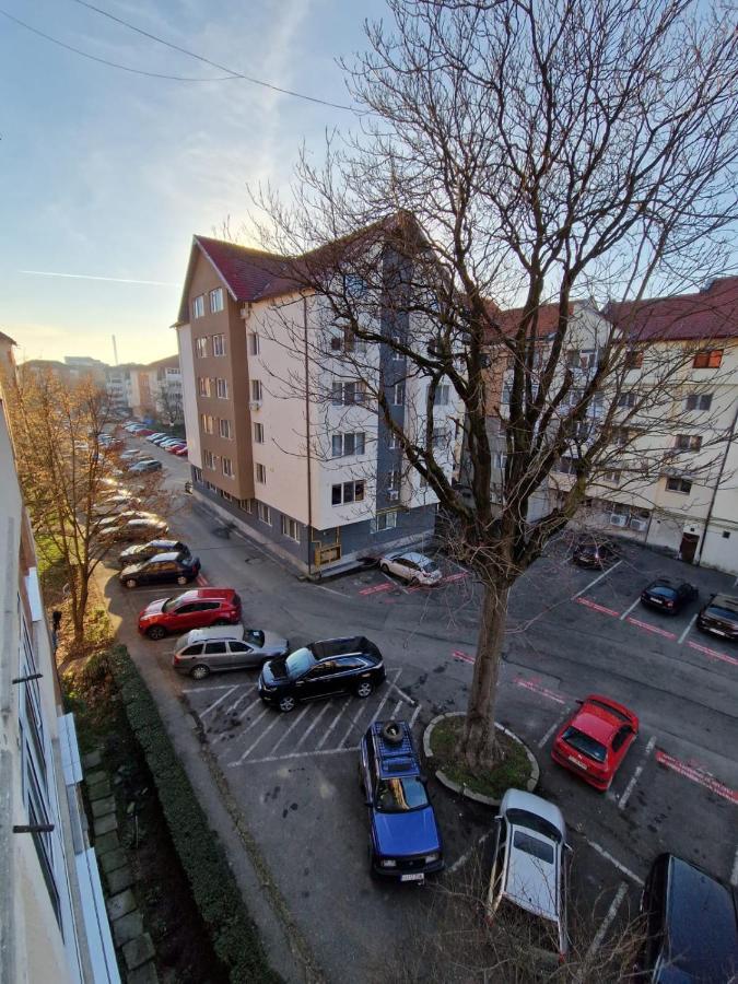 Apartmán Apartament Victoria Târgu Jiu Exteriér fotografie